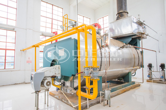 江西禾田欧宝在线登录源科技6吨WNS系列二回程燃气蒸汽锅炉项目