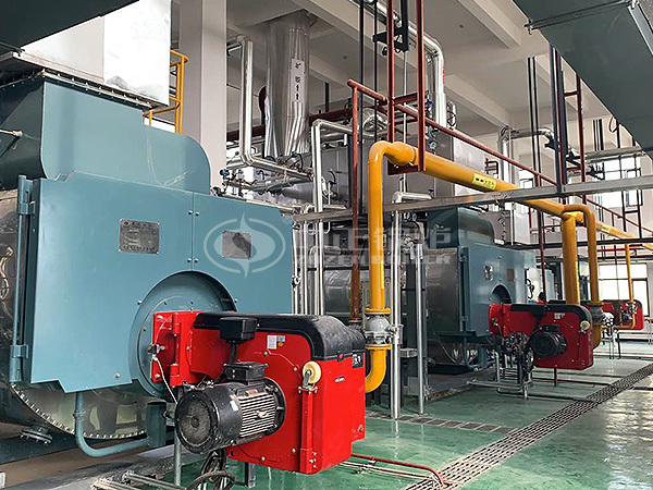 中正SZS系列燃气蒸汽锅炉承建百亿医药化工产业园集中供热项目